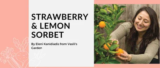 Strawberry & Lemon Sorbet with Vasili's Garden